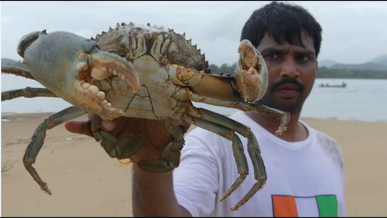 BIG KING CRAB CAUGHT AND COOKING IN GOA BACKWATER | CRAB CURRY  MAKING | STREET FOOD