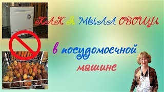 Как я мыла овощи в посудомойке -  и что из этого вышло...