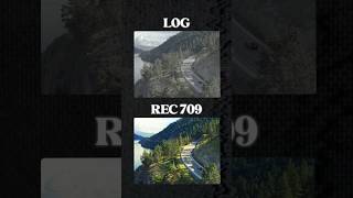 LOG VS. REC.709 Video - What's The Difference?