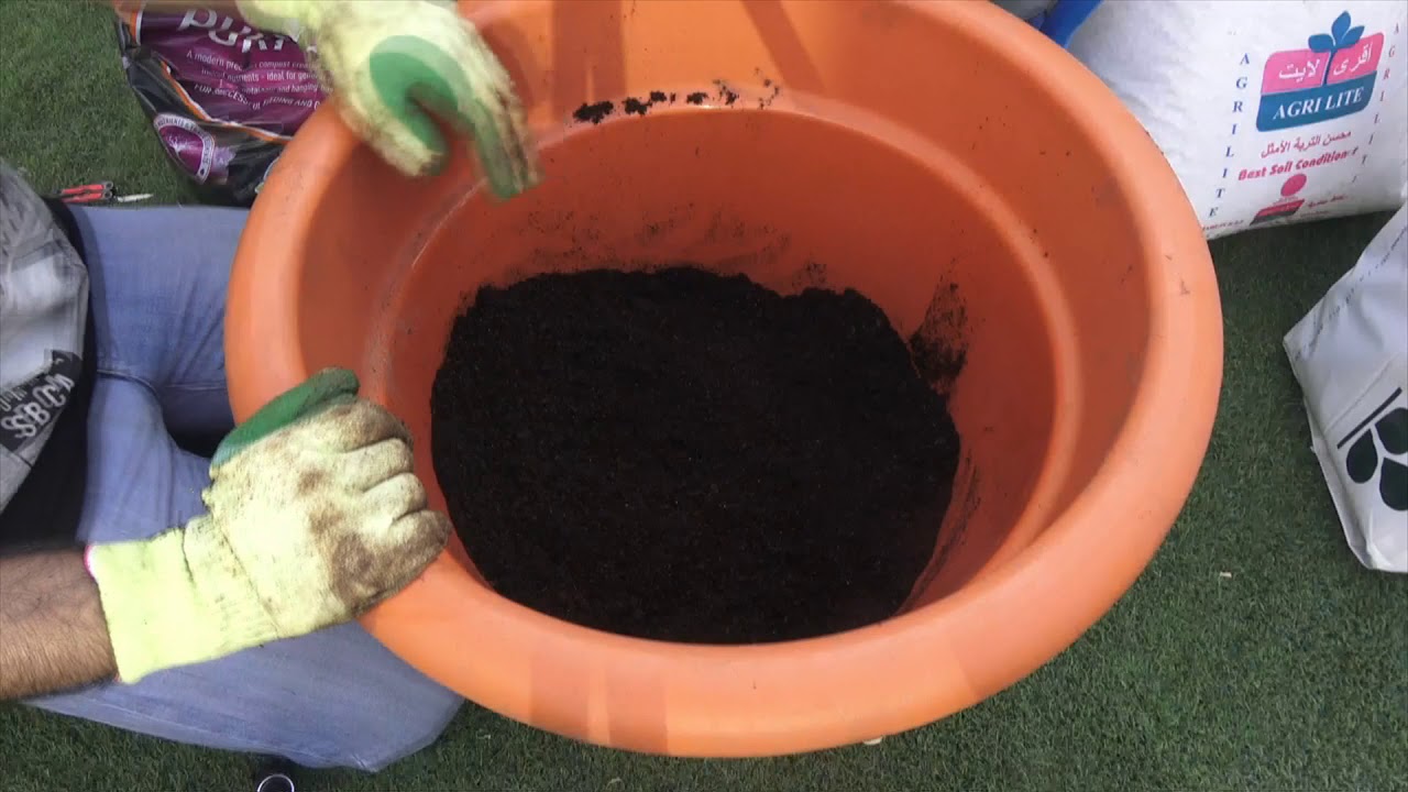 تربة الأصايص - Potting Soil