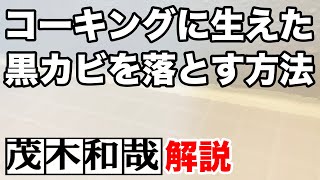 【お風呂掃除】浴室のコーキングに生えた黒カビを落とす方法！【茂木和哉の解説動画】