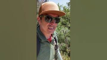 How NoPassword compares to OmniAuth and Devise, 2 popular Rails auth gems. #rails