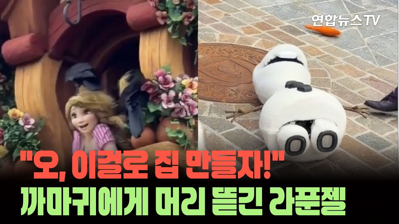 ⁣까마귀한테 머리 뜯긴 라푼젤…겨울왕국 올라프 로봇은 '기절' [세상에이런뉴스] / 연합뉴스TV (YonhapnewsTV)