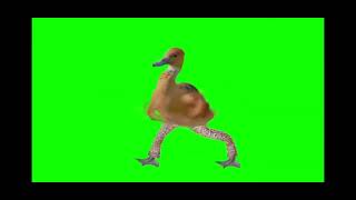 Pato dançando #memes #aleatório #dance