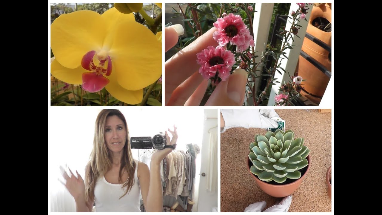 Cottage Living: Gardening, Bonsai, Orchids, Manuka