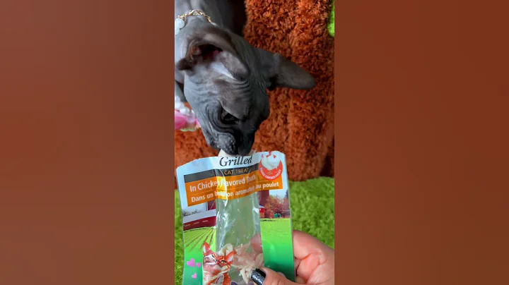 Watch the video about Baby is angry she woke up and her mama is just not sharing #sphynx #sphynxismyworld #cat #pets