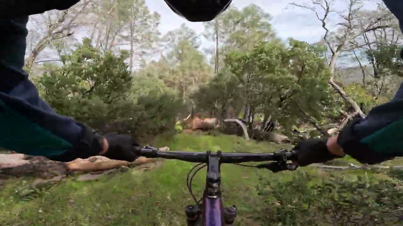 Angwin, PUC Forest, Sand Hill