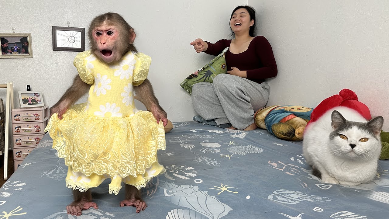 So Hilarious! Lala's adorable expression when she tried on a dress for the first time