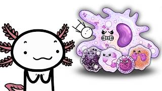 What It's Like To Fight Every Immune Cell