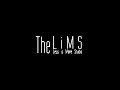 The lims the less is more studio