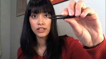 Bird Beak Adaptation