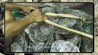 Capiz Shell Window — Let Filipino Tradition Shine Through.   #ctto  screenshot 4