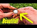 BEAUTIFUL Old Silver Found Metal Detecting Germany Nr.2