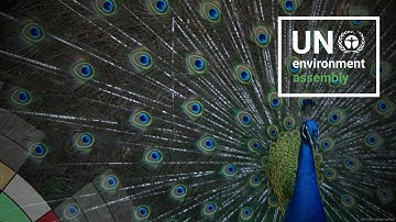 Responsible, just, and resilient environmentally sustainable management of minerals and metals