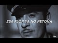 Flor Sin Retoño - Pedro Infante (Letra)