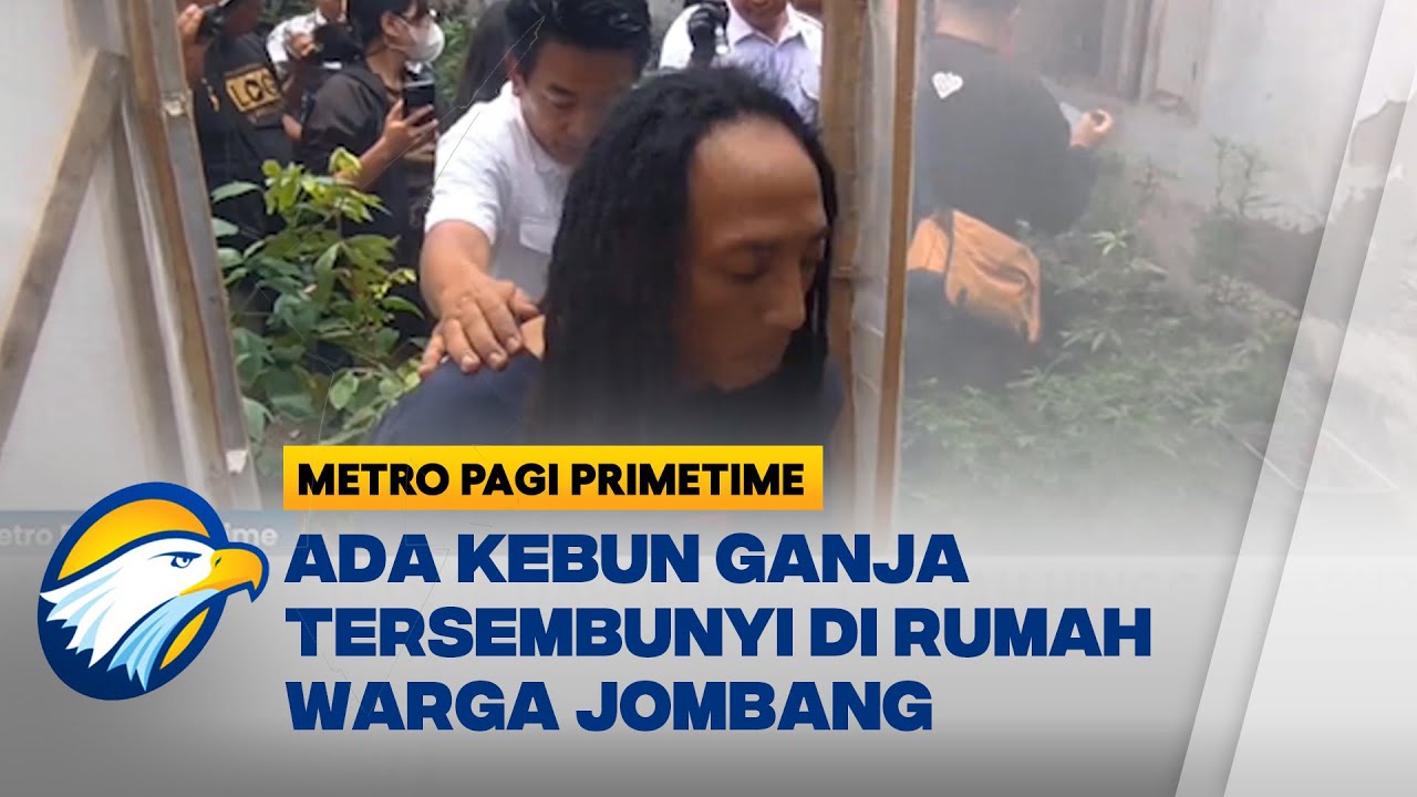 Terungkap! Rumah di Jombang Disulap Jadi Kebun Ganja - [Metro Pagi Primetime]