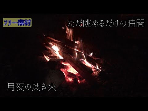 晩酌用 秋の夜の焚き火 フリー素材 Youtube