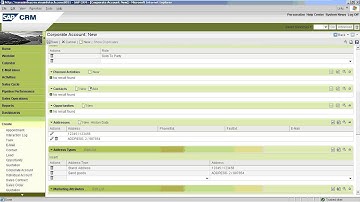 SAP CRM  WEB UI  Business Partner BP Record in CRM WEB UI