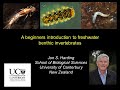 Beginners introduction to benthic invertebrate