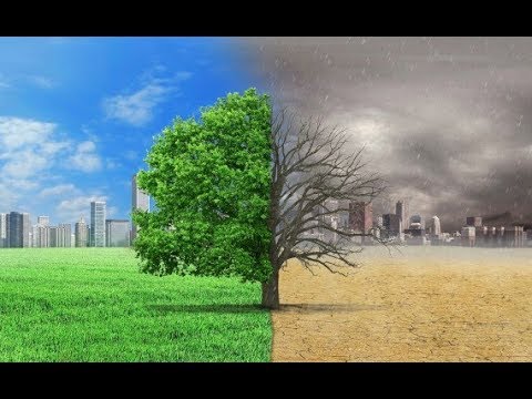 Image result for 5G trees