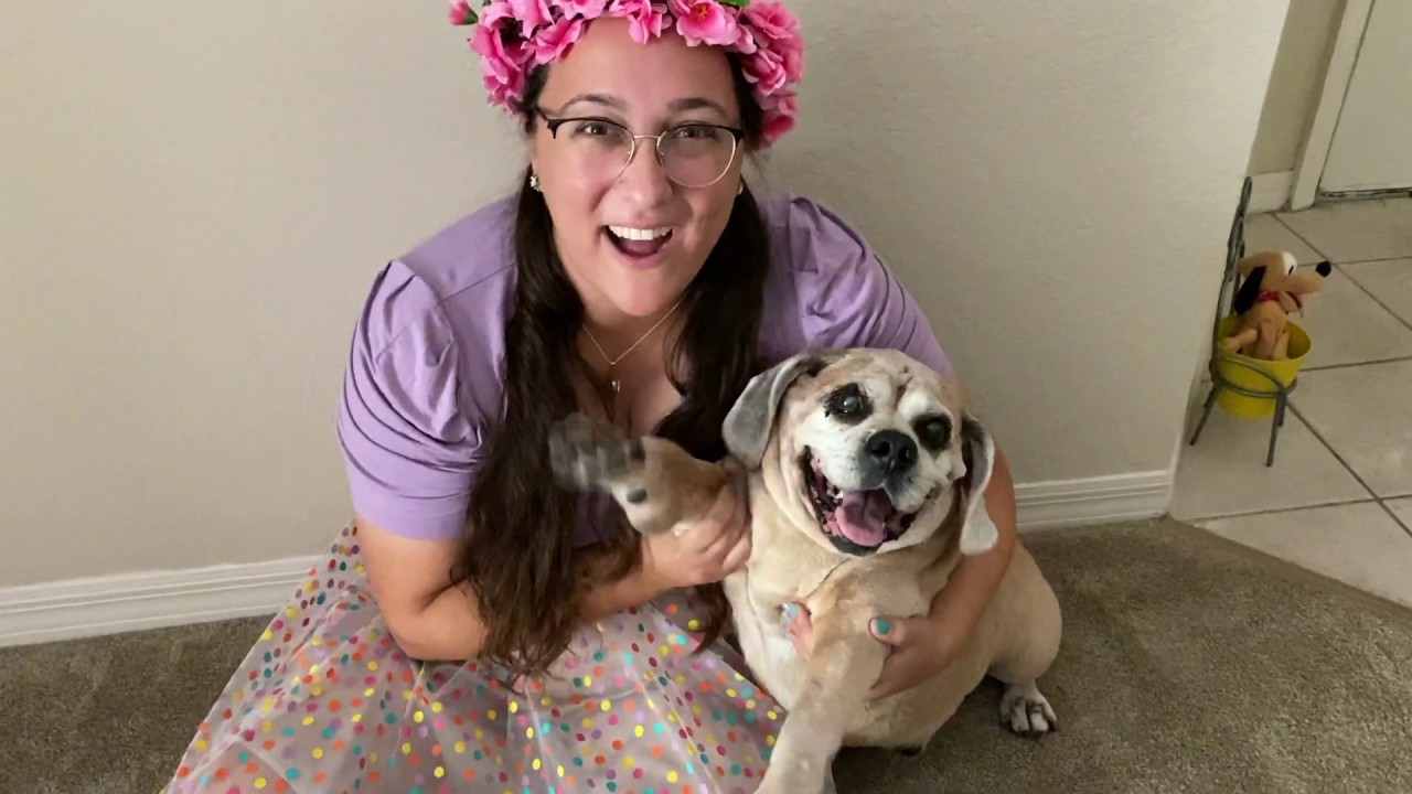 Jack the Puggle goes on an Easter Egg Hunt