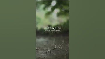 قران كريم #قرآن #مصر #قران_كريم #دويتو #اكسبلور #لايك #السعودية #حالات_واتس #الامارات #راحة_نفسية