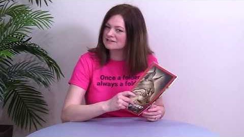 FOW #507: Shallow Stepped Accordion