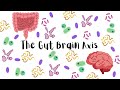 The Gut and Brain: A Surprising Connection