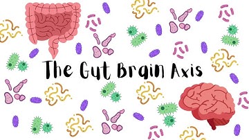 The Gut and Brain: A Surprising Connection