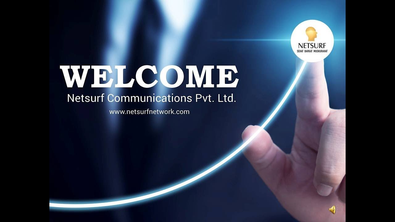 Netsurf Company and Business Introduction
