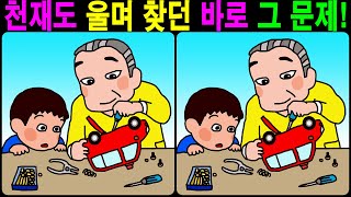 【틀린그림찾기/치매예방】 천재도 울며 찾던 바로 그 문제! 【다른그림찾기/두뇌운동】