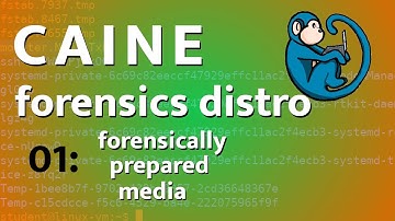CAINE - 01 - tutorial on how to create forensically prepared media