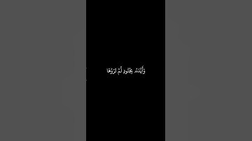 سورة التوبة بتلاوة الشيخ #محمد_اللحيدان #قرآن