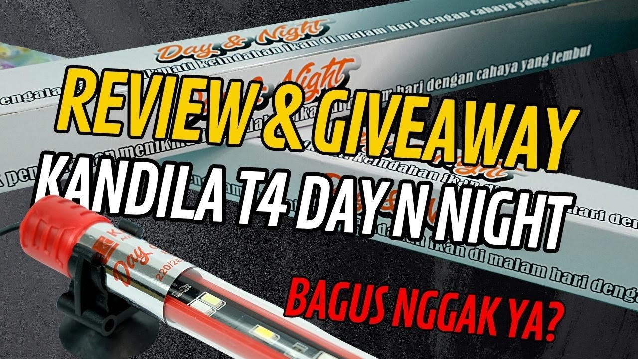 KAPAN LAGI GIVE AWAY PLUS REVIEW LAMPU LED CELUP EKONOMIS KANDILA T4 CUMAN SEKALI INI AJA !