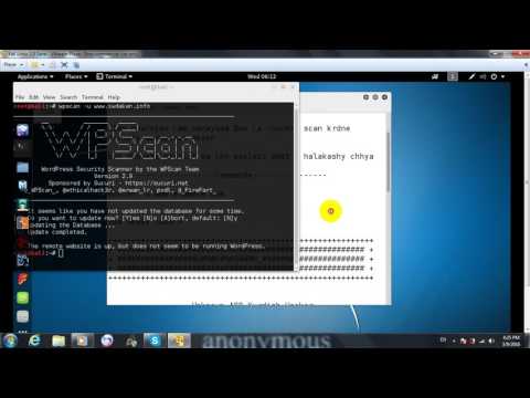 How to Scan Script Wordpress wpscan-Kali