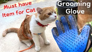 Pet Grooming Glove Review ! Pet Hair Removal Brush Comb | How to brush cat fur ~ ถุงมือแปรงขนแมว by Scottish Fold Cat * Amber * 735 views 1 year ago 4 minutes, 51 seconds