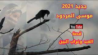 قصة العبد وغراب البين جديد ..موسى المردود  2021