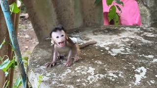 Monee Screaminq xtremely louder When She Was Hunqry And Mom Not Yet Come BAck