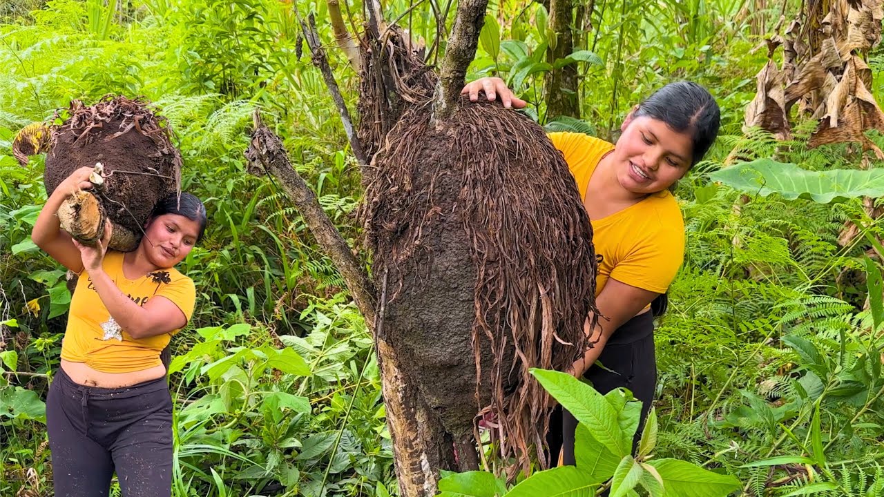 Encontre un adorno muy hermoso en la finca