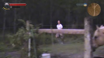 When you kill too much cows in Witcher 3