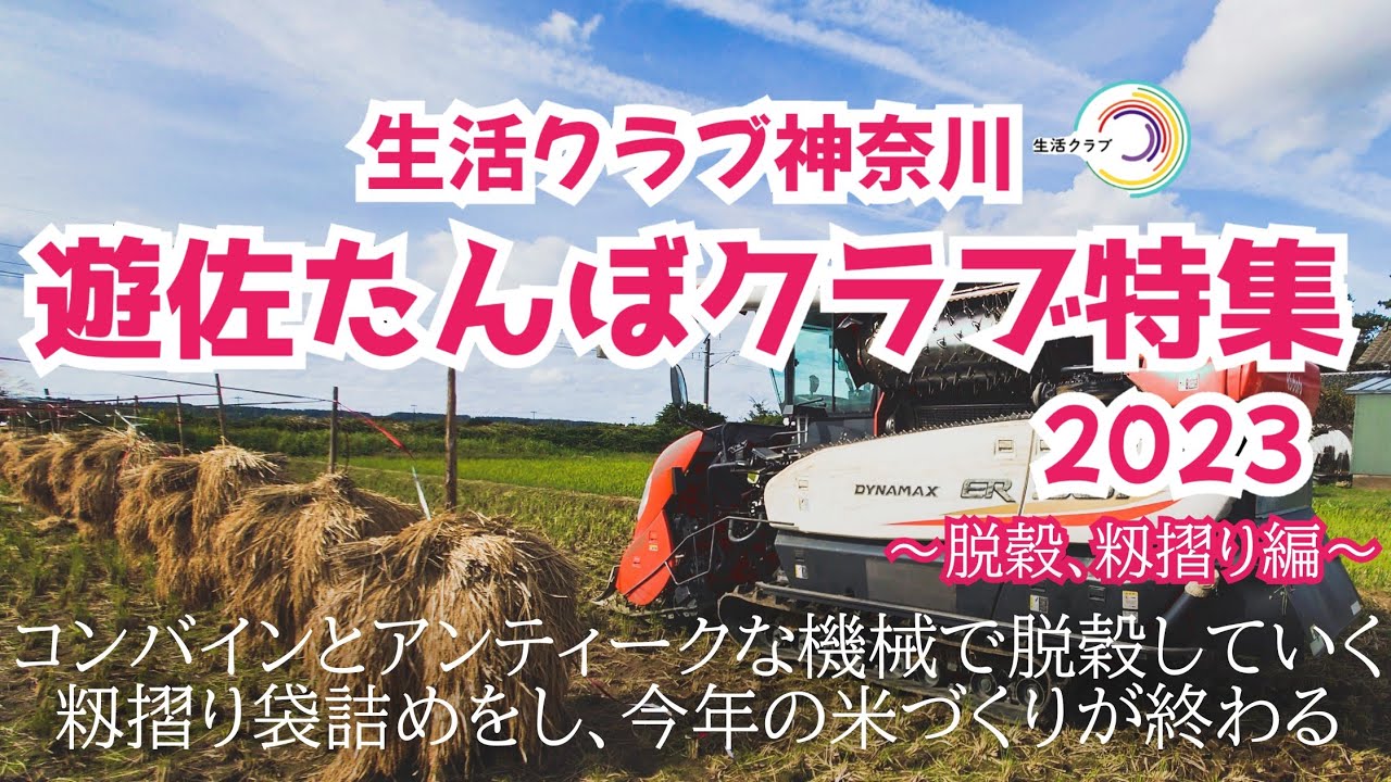 『生活クラブ神奈川遊佐たんぼクラブ2023』~脱穀､籾摺り編〜
