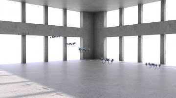 Decentralized Control Strategy Cooperative Dynamic Behaviors in Networked Systems