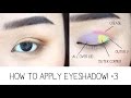 How to Apply Eyeshadow & Eye Anatomy!