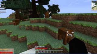 Colaborando en el canal de minimorcy - Blackbird98eSp - suscribiros!