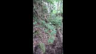 Tiliaq Chez Kinadapt