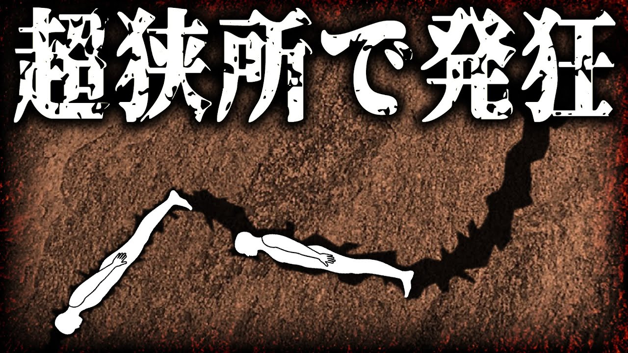 無惨！未知の洞窟での無謀な挑戦　死の罠にはまった男の末路【ハーミットケイブ】【ゆっくり解説】