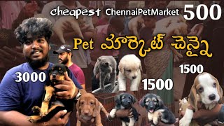Chennai cheapest pets Broadway Market In Telugu |తక్కువ  ధరలో దొరుకుతున్నాయి