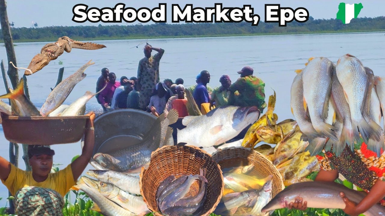 UPDATED Cheap Market Epe Seafood Market In Lagos Nigeria Fish trip-to-a-bushmeat-market-in-nigeria-tourist-s-delicacy-youtube