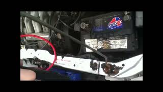Quick Startup 2000 Mazda MPV