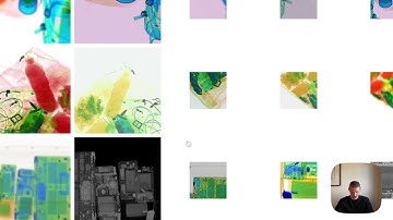 Self-supervised pretraining for image models with LightlyTrain